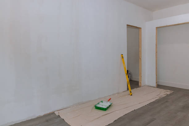 Best Drywall Texturing  in Round Lake Beach, IL